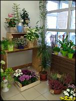 www.floristic.ru - .    ...