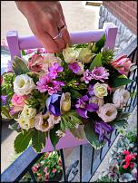 www.floristic.ru - .   .