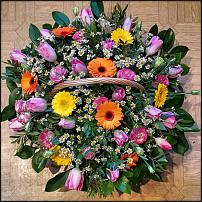 www.floristic.ru - . .   .