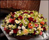 www.floristic.ru - . .   .