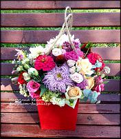 www.floristic.ru - .  !!