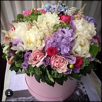 www.floristic.ru - .   (,  ,  , - )