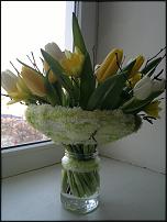 www.floristic.ru - .   