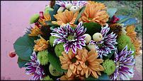 www.floristic.ru - .   1 