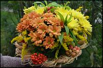 www.floristic.ru - .   1 