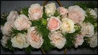 www.floristic.ru - .  