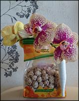 www.floristic.ru - .  