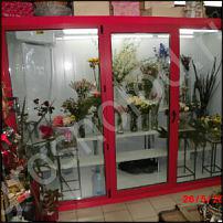 www.floristic.ru - .    .