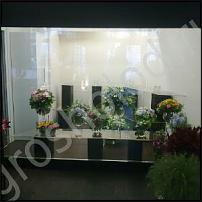 www.floristic.ru - .    .