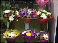 www.floristic.ru - .      .