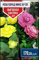 www.floristic.ru - .  -      