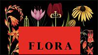 www.floristic.ru - . Flor Bazar. .   