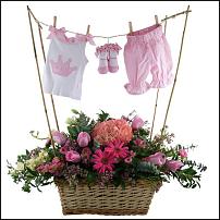 www.floristic.ru - . ,  .
