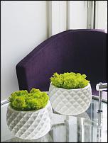 www.floristic.ru - Флористика. Живой мох в интерьере:идеи использования в декорировании