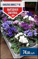 www.floristic.ru - .  -      