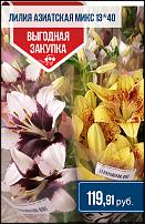 www.floristic.ru - .  -      