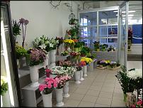 www.floristic.ru - .       - ?