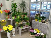 www.floristic.ru - .       - ?