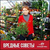 www.floristic.ru - .  -      