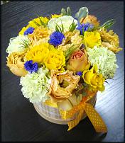 www.floristic.ru - .  !!