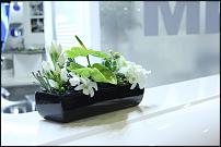 www.floristic.ru - .   .