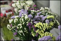 www.floristic.ru - .  -      