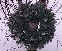 www.floristic.ru - .  ....   .