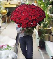 www.floristic.ru - .   2(   )