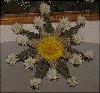 www.floristic.ru - .   .
