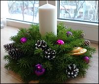 www.floristic.ru - .    !