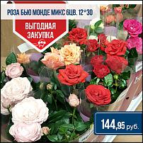 www.floristic.ru - .  -      