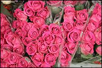 www.floristic.ru - .  -      
