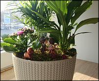 www.floristic.ru - . .   