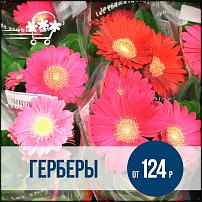 www.floristic.ru - .  -      