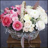 www.floristic.ru - .       . ..