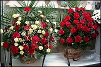 www.floristic.ru - .  