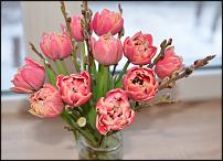 www.floristic.ru - .   