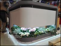 www.floristic.ru - .   .