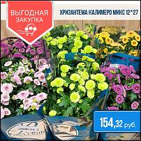 www.floristic.ru - .  -      