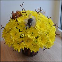 www.floristic.ru - .  