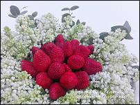 www.floristic.ru - .     