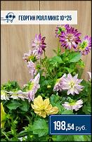 www.floristic.ru - .  -      