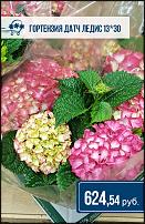 www.floristic.ru - .  -      