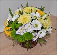 www.floristic.ru - .  