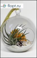 www.floristic.ru - .  -      