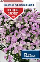 www.floristic.ru - .  -      