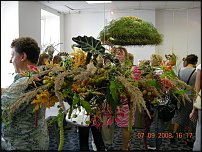 www.floristic.ru - .   ""