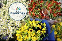 www.floristic.ru - .  -      