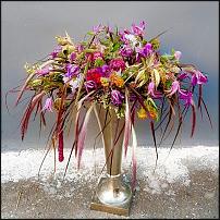 www.floristic.ru - .   ""