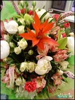 www.floristic.ru - .     